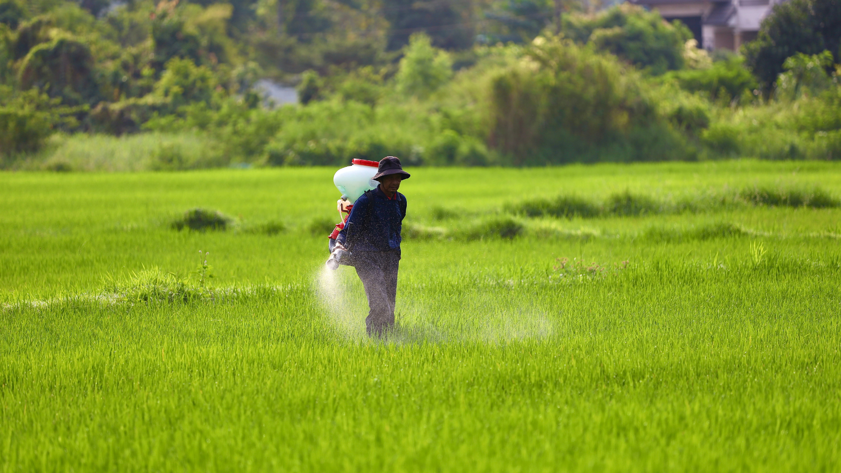 Agrochemicals میں Monoethanolamine کا استعمال کیا ہے؟